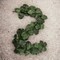 6-Foot Magnolia Leaf Christmas Garland with Realistic Silk Leaves - 2-Pack, Elegant Greenery for Home Décor & Event Styling - Year-Round Charm, Floral Home by Artificial Flowers